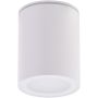 AZzardo PAPIKO AZ4217 Aufbau-Downlight 1x50W/GU10 IP65