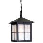 Elstead Lighting WINCHESTER BL18B-BLACK Pendelleuchte 1x60W/E27 IP43