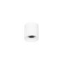 Italux ALTISMA CLN-6677-75-WH-3K Aufbau-Downlight 1x10W/LED 3000k 1100LM IP20