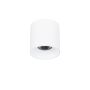 Italux ALTISMA CLN-6677-95-WH-3K Aufbau-Downlight 1x15W/LED 3000k 1650LM IP20