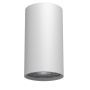 Antigo Point 1253 Aufbau-Downlight 1x10W/GU10 IP20