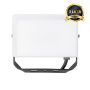 Eko Light FLOODLIGHT EKN9015 Halogenstrahler 1x30W/LED 5000K 3000lm IP65