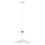 Feiss DARWIN FE-DARWIN-P Pendelleuchte 1x60W/E27