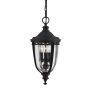 Feiss ENGLISH BRIDLE FE-EB8-M-BLK Pendelleuchte 3x60W/E14 IP23