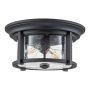 Feiss Merrill FE-MERRILL-F-BLK Deckenleuchte 2x60W/E27 IP44