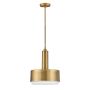 Hinkley Lighting Cedric HK-CEDRIC-P-M-BR Pendelleuchte 2x60W/E27 IP20