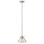 Hinkley Lighting CONGRESS HK-CONGRESS-P-A-BC Pendelleuchte 1x60W/E27