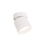 Light Prestige Kendal LP-6331/1SM R1 WH movable Aufbau-Downlight 1x7W/GX53 IP20