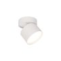 Light Prestige Kendal LP-6331/1SM WH movable Aufbau-Downlight 1x7W/GX53 IP20