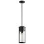 Kichler Camillo KL-CAMILLO-P-TBK Pendelleuchte 1x60W/E27 IP44