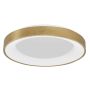 Luces Exclusivas TOME LE41520 Deckenleuchte 1x50W/led 3000k IP20 3250lm