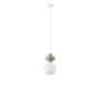 Luces Exclusivas VILROSA LE44555 Pendelleuchte IP20