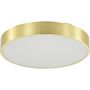 Zuma Line NADI MS724-R400-GD Deckenleuchte 1x36W/LED 3000-6000k 1900lm ip44