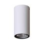 Italux Fano OPN-2002-4K Aufbau-Downlight 1x3W/LED 4000K 255lm IP54