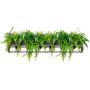 King Home SEMIRA INDUSTRIAL OSW001005 Pendelleuchte 6x40W/E27 IP20