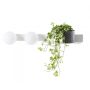 Kaspa BOTANICA DECO 20852201 Wandleuchte 2x9W/E14 IP20