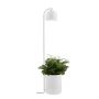 Kaspa BOTANICA XL 40848101 Stehleuchte 1x9W/GU10 IP20