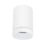 Polux FABRI 319883 Aufbau-Downlight max 10W LED IP20