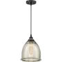 Quoizel PICCOLO QZS-QPP2818K Pendelleuchte 1x60W/E27