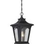 Quoizel BEDFORD QZ-BEDFORD8-S Pendelleuchte 1x60W/E27 IP44