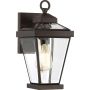 Quoizel RAVINE QZ-RAVINE2-S Wandleuchte 1x60W/E27 IP44