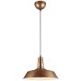 Trio WILL R30421062 Pendelleuchte 1x60w/e27 ip20