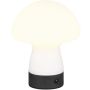Trio DOOLEY R54981131 Tischleuchte 1x1.5w/led 3000k 140lm ip20