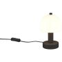 Trio GLENN R51961032 Tischleuchte 1x10w/e14 ip20