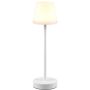 Trio MARTINEZ R54086131 Tischleuchte 1x2w/led 2700-6500K 250lm ip44