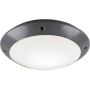 Trio CAMARO R60501042 Deckenlampe 1x12w/e27 ip54