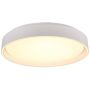 Trio FELIS R64391031 Deckenlampe 1x24w/led 2700-6500K 2500lm ip20