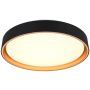 Trio FELIS R64391080 Deckenlampe 1x24w/led 2700-6500k 2500lm ip20