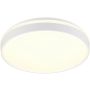 Trio SPACY R64851131 Deckenleuchte 1x33w/led 2700-6500k 3800lm ip20