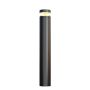 Maytoni Olten O591FL-L12GF3K1 Stehlampe 1x12W/LED 3000K 300lm IP65