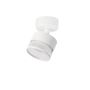 Light Prestige Kendal LP-6331/1WS TR/WH Spot 1x7W/GX53 IP20