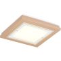 Argon TABOR 1866 Deckenlampe 4x15W/E27 ip20