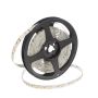 SMD LED HOMEline TAS4793SLL LED-Band 120x9,7W/m/LED 4000K 880 lm/m IP20