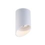 Zuma Line TUBY ACGU10-132 WHITE Spot 1x50W/Gu10 IP20