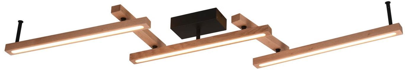 TRIO-BELLARI-626410530-TRI626410530