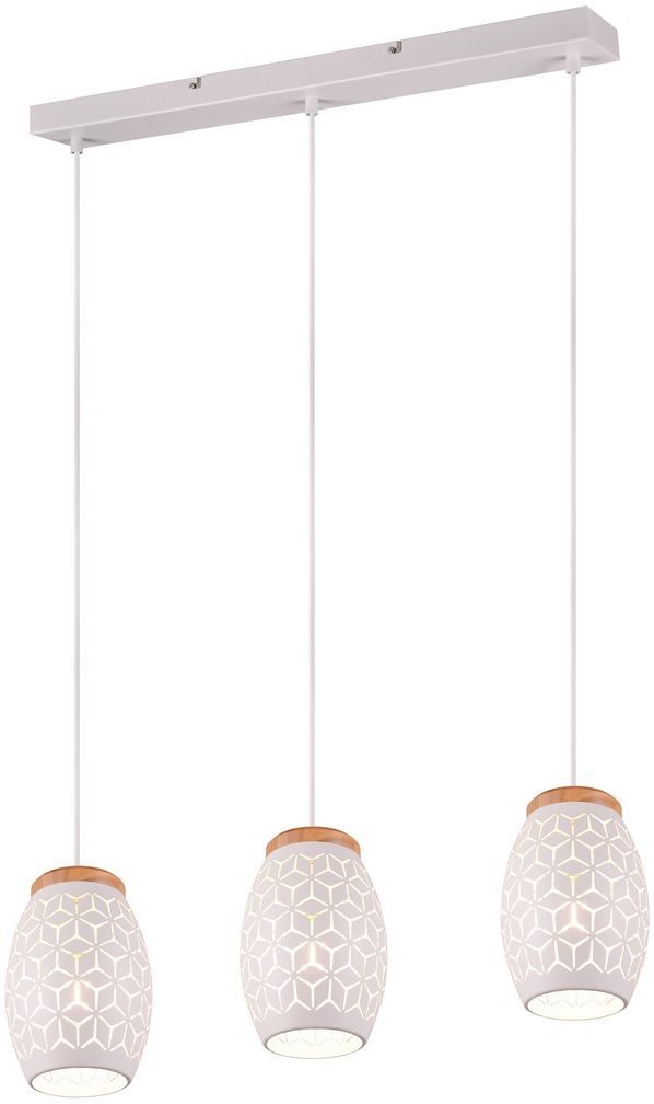 TRIO-BIDAR-R31573031-TRIR31573031