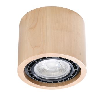 Sollux BASIC 1 SL.0913 Aufbau-Downlight 1x40W/GU10 IP20