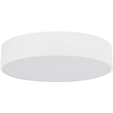 TK Lighting LIVO 10987 Deckenleuchte 4x15W/E27 IP54