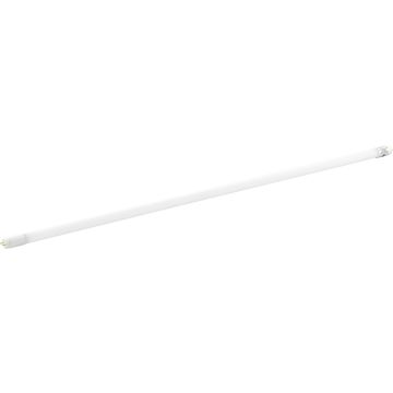 Eglo LEDG13 110341 Glühbirne 1x15w/G13 4000k