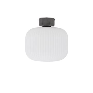 Nowodvorski AURORA 11971 Deckenlampe 1x25W/E27 IP20