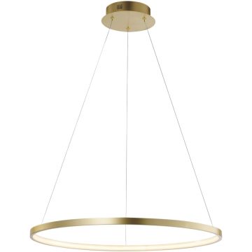 Paul Neuhaus CIRCLE 11524-12 Pendelleuchte 1x33W/LED 3000k 3670lm ip20