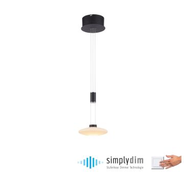 Paul Neuhaus LAUTADA 2080-18 Pendelleuchte 1x7,5W/LED 3000K 600LM IP20