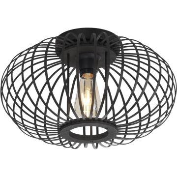 Paul Neuhaus RACOON 11410-18 Deckenlampe 5x40W/E27 ip20
