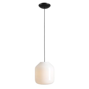 Aldex FLASK ORCHID L 8500G1_L Pendelleuchte 1x15W/E27