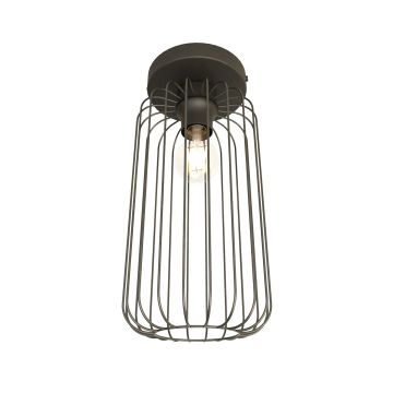 Emibig BARN 1367/1 Deckenlampe 1x15W/E27 IP20