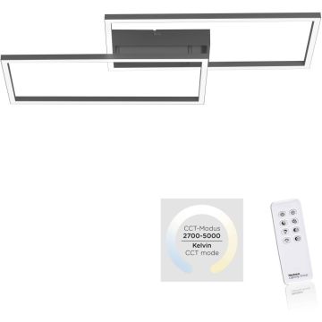 Paul Neuhaus IVEN 14140-18 Deckenlampe 2x30W/LED 2700-5000k 3500lm ip20